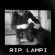 RIP Lampi Single