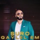 Qaylel Em Single