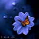 I Miss You Single