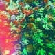 꿈의green feat Mckdaddy Single