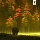 QuietPath EP