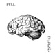Full Single