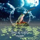 Frogs at Night feat Natasha Ghosh Single