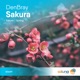 Sakura Single