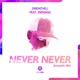 Never Never Acoustic Mix feat Indiiana Single