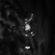 Aeronaut Single