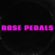 Rose Pedals Beat Pack