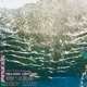 Pisces Deluxe Edition