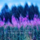 Echoes of Forgotten Single