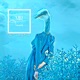 The Secret of Birds Single