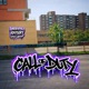Call of Duty Single