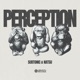 Perception Single