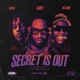 SECRET IS OUT Remix Single