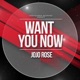 Want You Now feat Constantine Single
