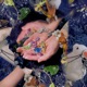 Magic Beans EP