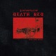 Death Bed Single