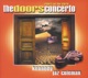 Riders On the Storm The Doors Concerto