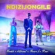 Ndizijongile Single