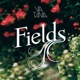 Fields EP