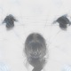 PURGATORY EP