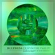 Deep in the Valley