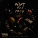 What You Need feat New5ense Single
