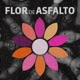 Flor de Asfalto Single
