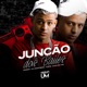 Junção dos Bailes feat DJ IGOR BONI Single