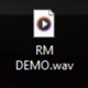 RM DEMO Single