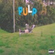 Pulp