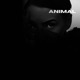 Animal Single