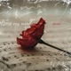 Loose My Mind Single