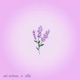 Lavender feat Silly Single