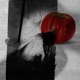 Dead Apples Single