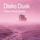 Disko Dusk Single
