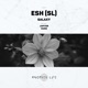 Galaxy Single
