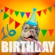 Birthday Single