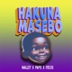 Hakuna Massebo Single