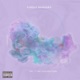 Simple Bangers The Introduction EP