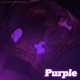 Purple Single