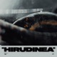 Hirudinea Single
