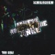 Biggest Apes In the Jungle Single