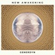 New Awakening Single
