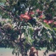 Blooming Single