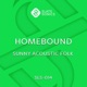 Homebound Sunny Acoustic Folk
