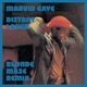 Distant Lover Blonde Maze Remix Single