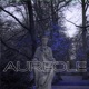 Aureole Single