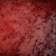 Blood Mud Single