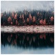 Tristura Slowed Single