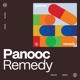 Remedy Single